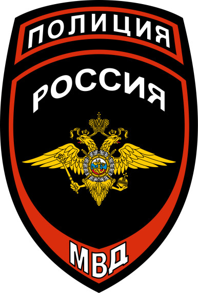 "День открытых дверей"(МВД России).